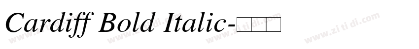 Cardiff Bold Italic字体转换